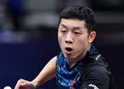 开云体育app-关于法国乒乓球队强势瑞典乒乓球队，许昕关键制胜的信息