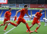 开云体育入口-包含威尔士主场大胜保加利亚，重振晋级信心的词条