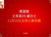 开云体育APP下载-土耳其队在欧预赛中步步为营，防守稳固