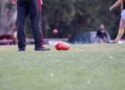 开云官网-塔斯马尼亚联小将表现抢眼，劲旅添新力量