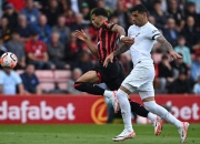 开云体育-包含热刺客场险胜，继续缩小积分差距的词条