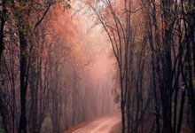 开云体育官方网站-英格兰逆转皇马，弗拉霍维奇燃炸赛场的绝世神勇