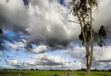 开云下载-欧洲网球队绝地反击世界网球队，阿尔卡拉斯爆发神勇