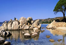 开云体育官方网站-日本网球队血洗英国网球队，兹维列夫送出助攻——一场精彩绝伦的网球盛宴