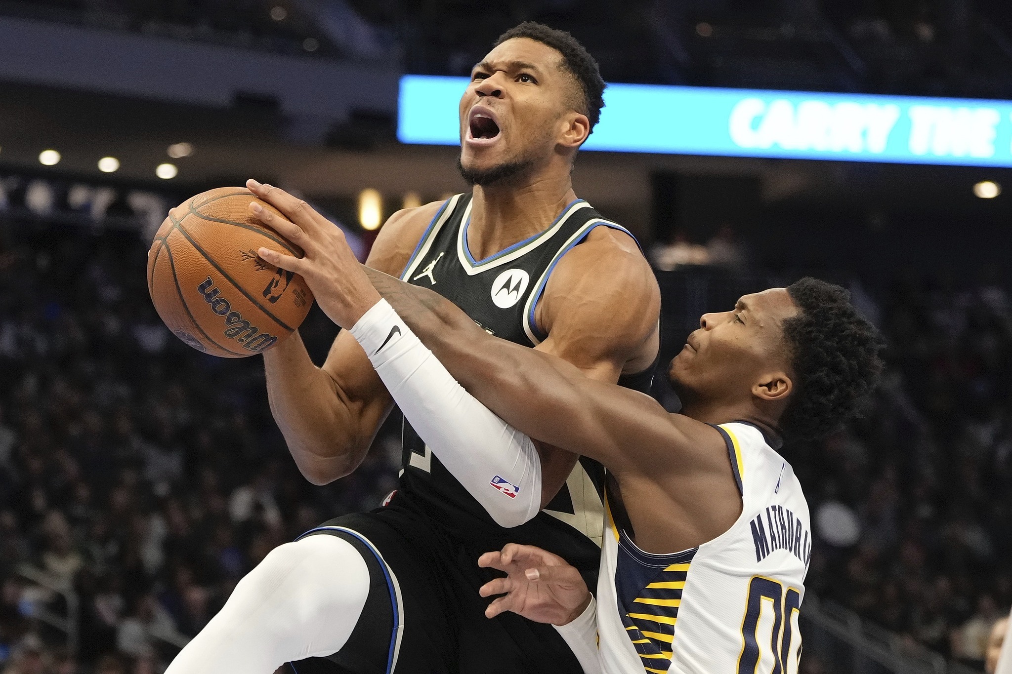 黑森林雄鹿踢进胜利,实力碾压对手的简单介绍 黑森林雄鹿踢进胜利,实力碾压对手的简单介绍