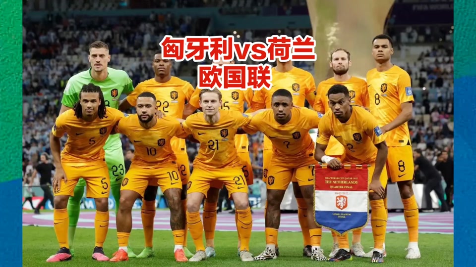 匈牙利队在欧锦赛中将士们功成名就 匈牙利队在欧锦赛中将士们功成名就