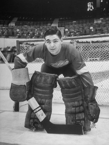 一位新秀在比赛中大放异彩,迅速成为焦点的简单介绍 一位新秀在比赛中大放异彩,迅速成为焦点的简单介绍