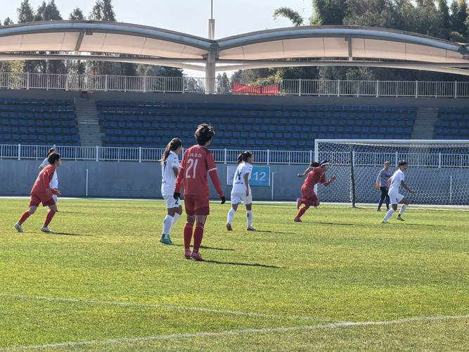 重庆女足迎战辽宁队,争取晋级的简单介绍 重庆女足迎战辽宁队,争取晋级的简单介绍