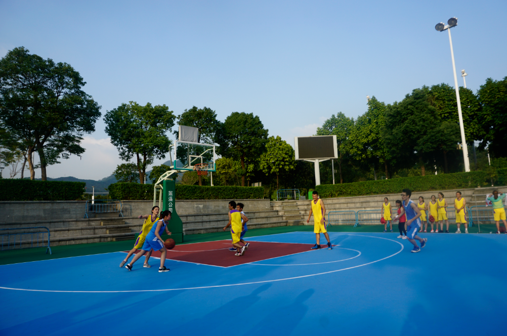 拉丁美洲篮球赛事热度持续上升，观众热情高涨