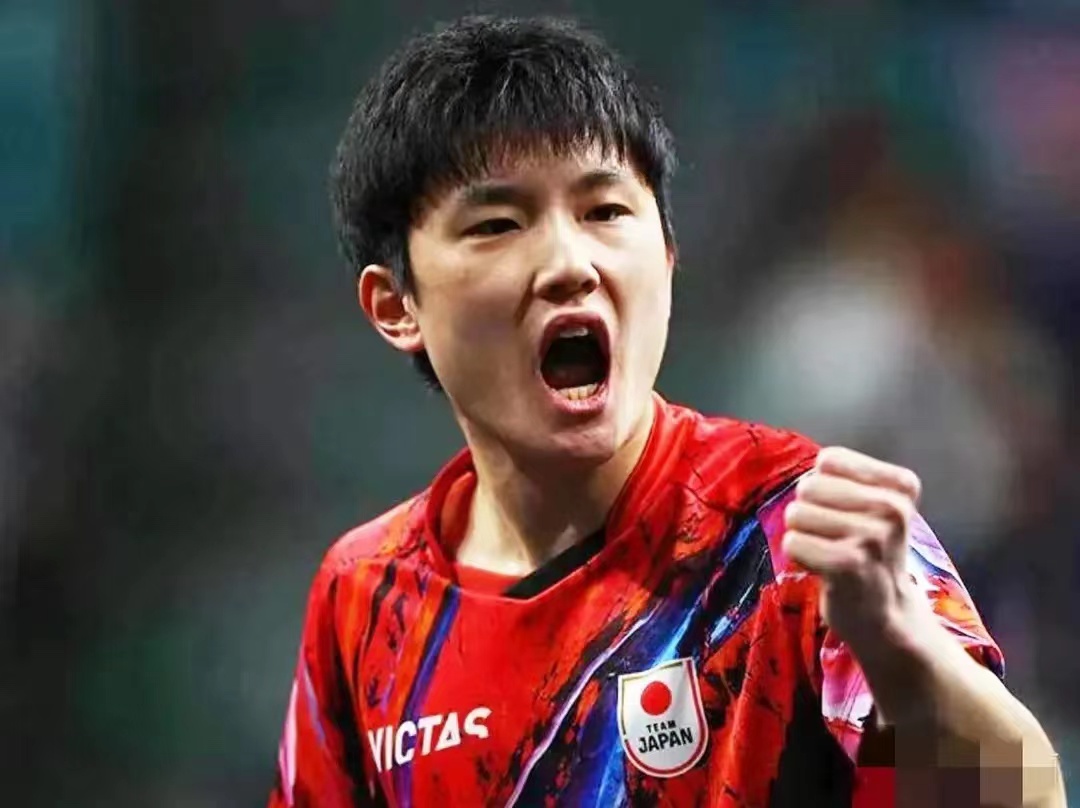 包含日本队轻取法国队，张本智和状态火热的词条